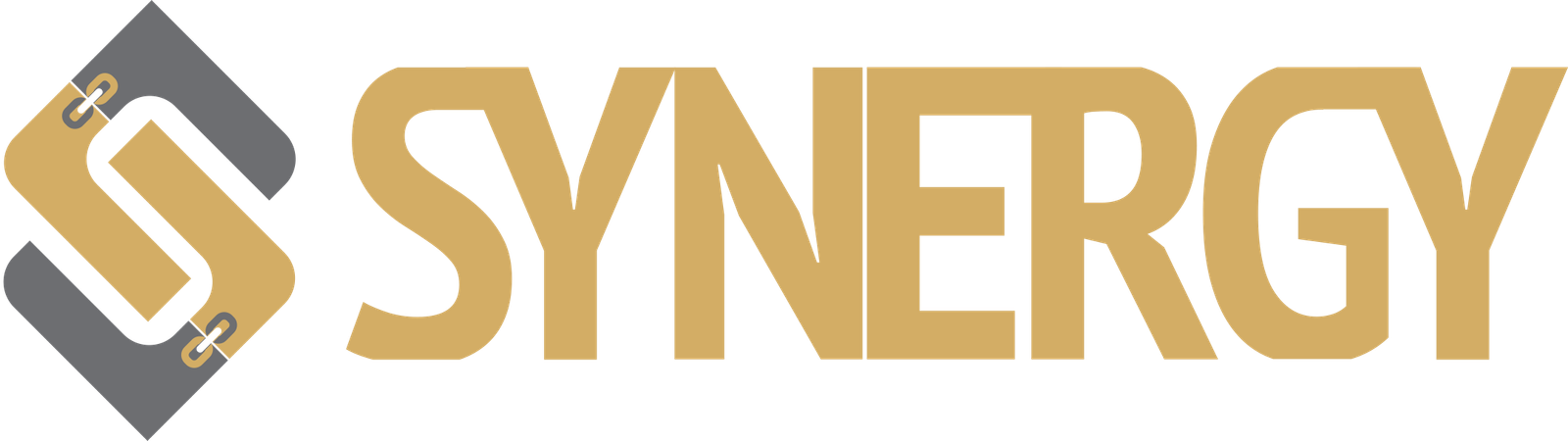 Synergy logo